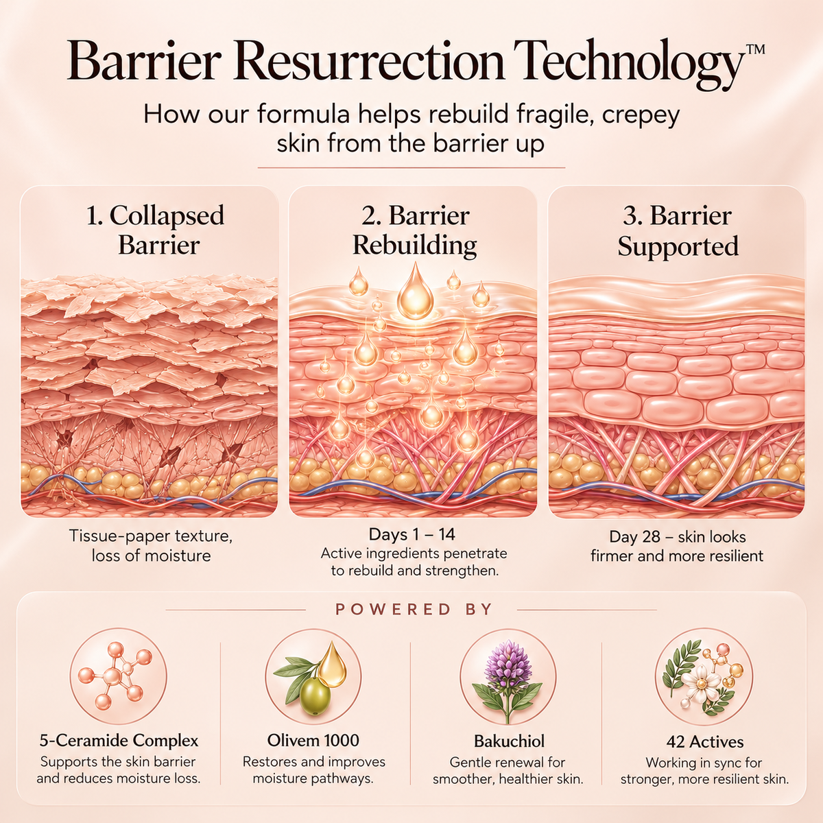 SpatGlow Anti-Stretch Mark Micro-Infusion